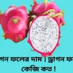 ড্রাগন ফলের দাম । ড্রাগন ফলের কেজি কত !